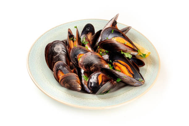 istock Marinara mussels, moules mariniere, on a white background 1163282955