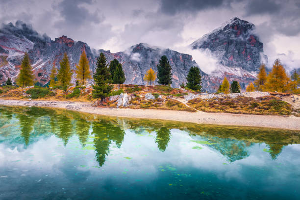 schöner alpensee mit schneebedeckten gipfeln im hintergrund, dolomiten, italien - larch tree stone landscape sky stock-fotos und bilder