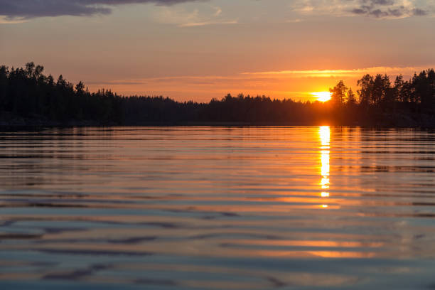 istock water of a forest lake 1163285950