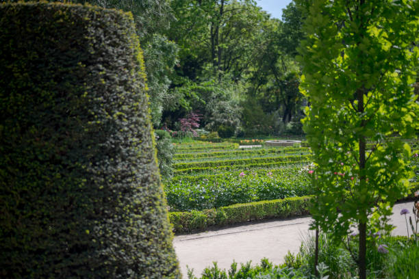 istock Landscaped garden 1163287099