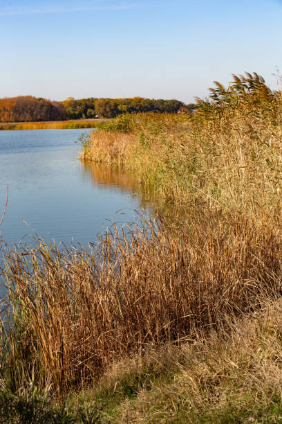 istock Autumn landscape on a nice sunny day 1163288218