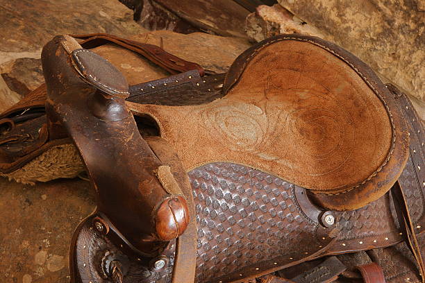 saddle artigo de selaria equipamentos - leather harness - fotografias e filmes do acervo