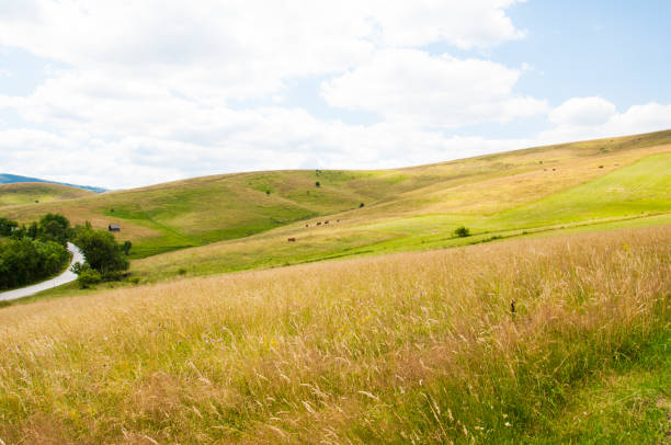 istock Beautiful natural landscape in the summer time.Mountain 1163291437