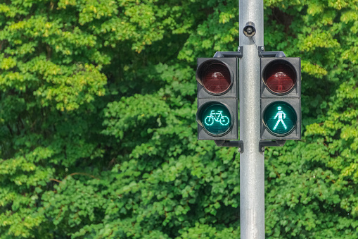 Green traffic lights for pedestrians and cyclists on green trees foliage. Safety on roads concept. Life insurance.