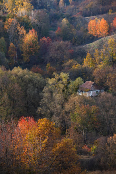 istock Rural autumn landscape with hills on which trees grow 1163295090