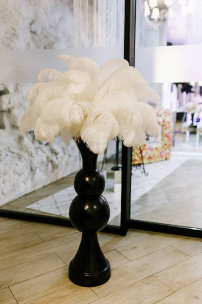 White feather in black glossy vase close view at interior. Wedding preparation detail.