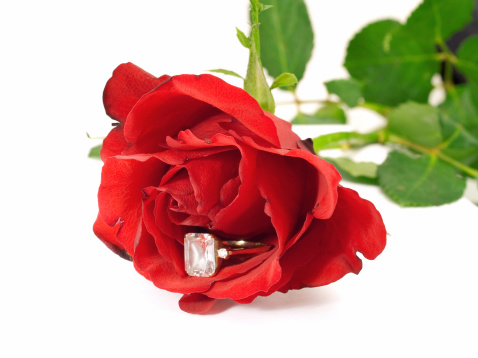 Engagement Ring with red rose