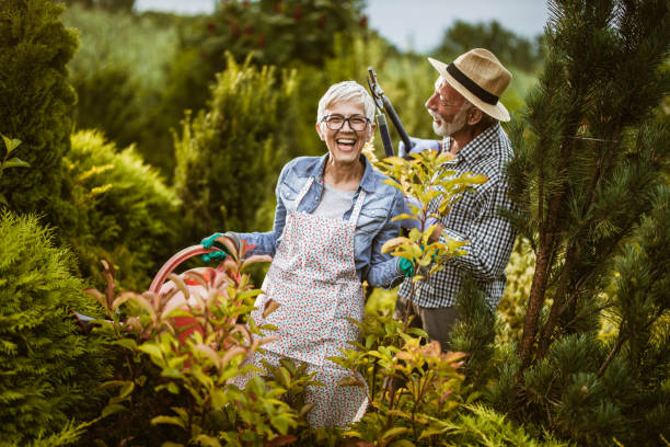 istock Let me cut your hair with these garden scissors! 1163301481