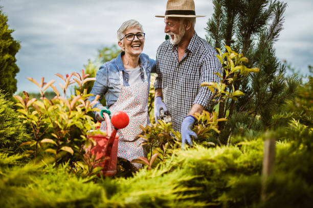 felice coppia matura giardinaggio il loro cortile nella giornata di primavera. - gardening couple senior adult ethnic foto e immagini stock