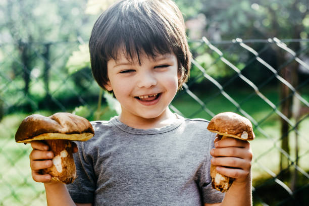 istock Fresh porcini mushroom in child hand 1163301815