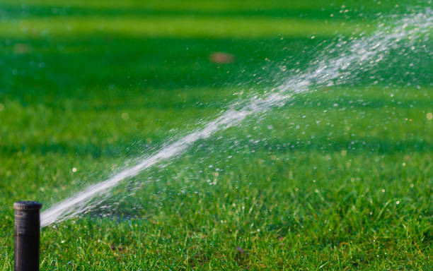 istock Watering  sprinkler  lawn 1163302625