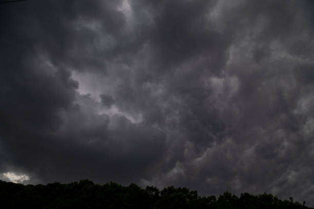 The black cloud comes The black cloud comes drove the thunder and lightning storm cloud sky dramatic sky cloud stock pictures, royalty-free photos & images