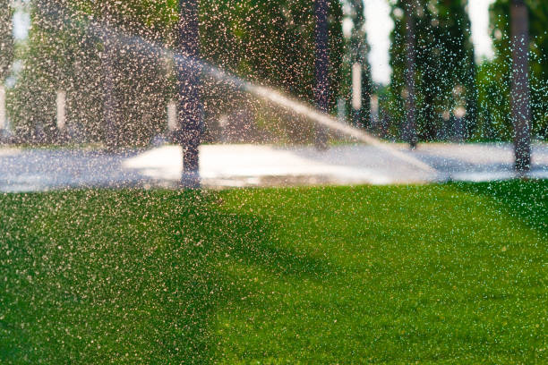 istock Watering  sprinkler  lawn 1163302784