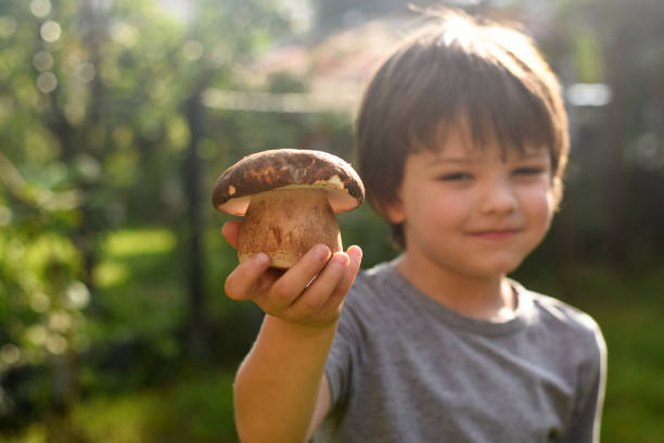 istock Fresh porcini mushroom in child hand 1163302893