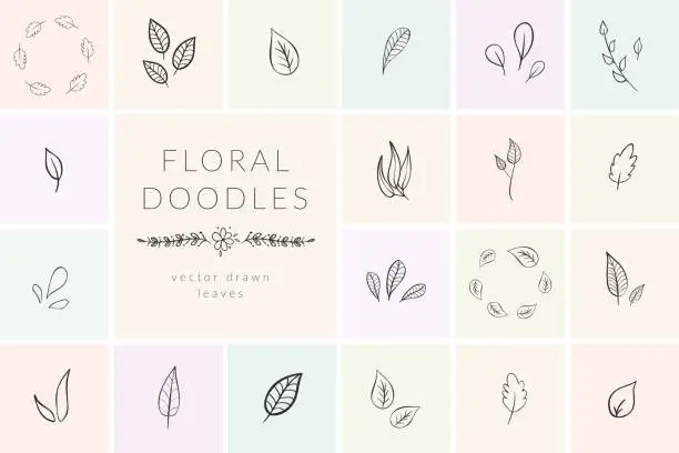Vector illustration of Vector Hand Drawn Doodle florals and plants