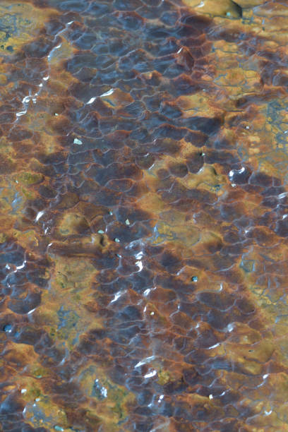 istock Macro image of a sea cave wall 1163306669