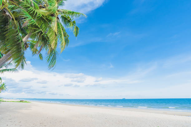 istock Beautiful nature sea summer background. 1163306832