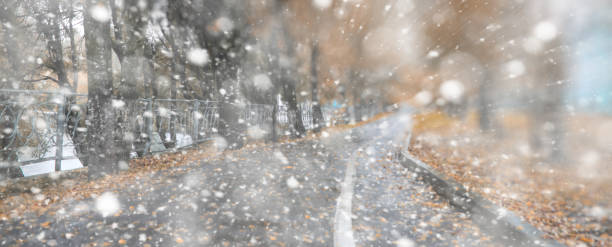 istock Background autumn park in the first snow 1163306851
