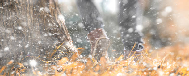 istock Winter park a man walks along a path foliage 1163308854