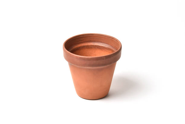 istock Clay pot for houseplants on a white background 1163308914
