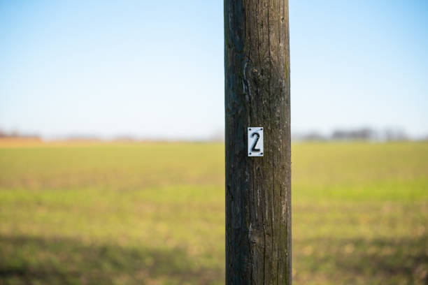 istock Focused motifs can be found during a walk through nature 1163308943
