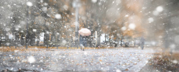 istock Background autumn park in the first snow 1163310195