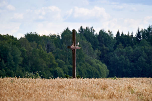 istock Falcon lands on a cross near the forest. 1163313989