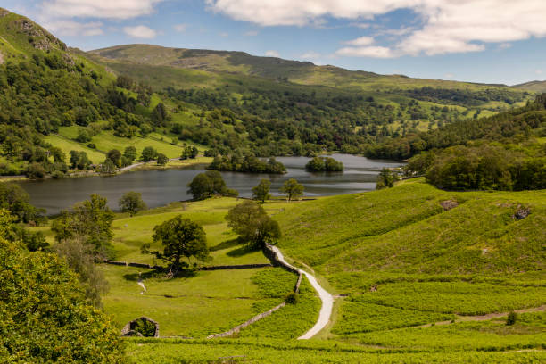 Rydal Water Rydal Water Grasmere looking towards Low Pike grasmere stock pictures, royalty-free photos & images
