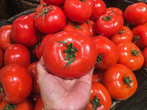 Close up female hands holding tomato from large container of fresh tomatoes