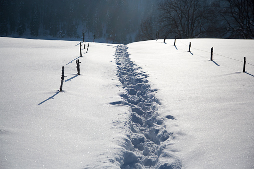 A snowy field on a sunny day