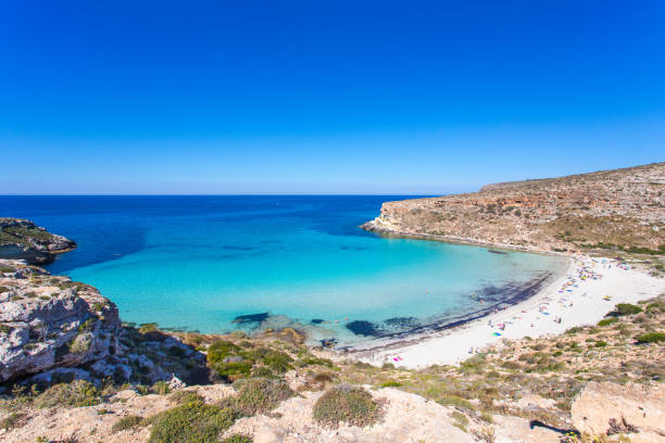 lampedusa island sicile - rabbit beach et rabbit island lampedusa "spiaggia dei conigli" avec de l'eau turquoise et du sable blanc à la plage paradisiaque. gommage méditerranéen au thym et cardoon. baie de tabaccara - bras de mer mer photos et images de collection