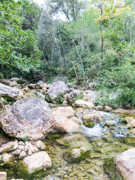 istock Throat of the Muga river 1163321879