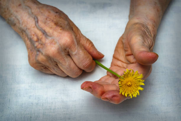 istock Senior woman hands and flower 1163323188