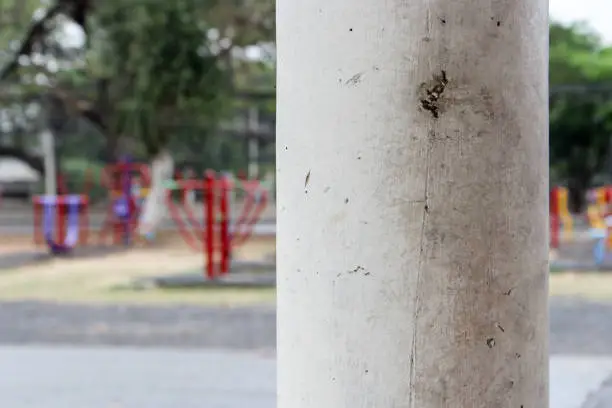 Photo of Pole in the park, Thailand