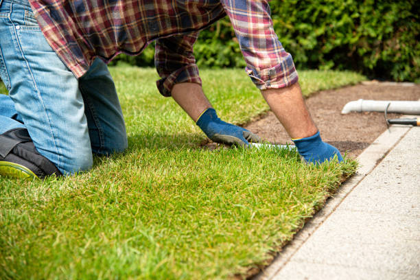istock Installing turf rolls in the garden 1163327177