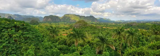Panoramic view of green rain forest near Vinales, Cuba.
