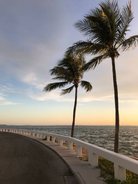 istock Sunrise // Captiva Island 1163332777