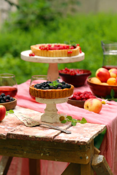 istock picnic in nature, pies and salads 1163332938
