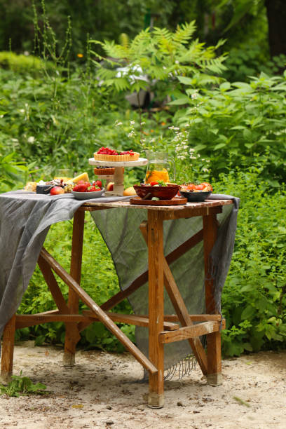 istock picnic in nature, pies and salads 1163334070