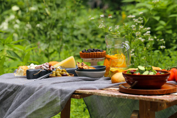 istock picnic in nature, pies and salads 1163334118