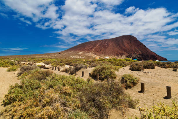 istock Tejita Beach. Tenerife, Spain 1163336778
