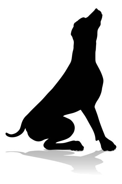 Dog Silhouette Pet Animal A detailed animal silhouette of a pet dog spanish mastiff puppies stock illustrations