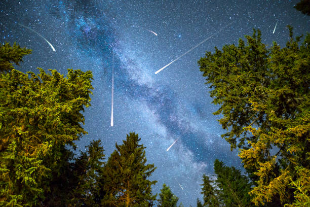istock Pine trees silhouette Milky Way meteor shower 1163338162