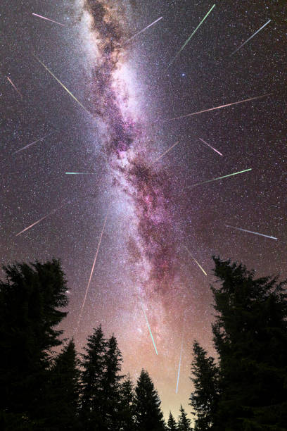 A view of a Meteor Shower and the purple Milky Way with pine trees forest silhouette in the foreground. Perseid Meteor Shower observation. Night sky nature summer landscape. Vertical. Colorful shooting stars.