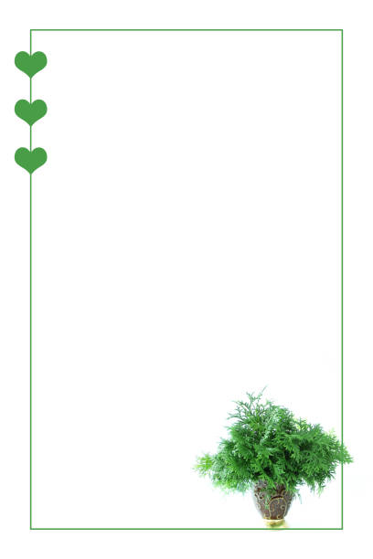 istock frame of Japanese cypress bouquet 1163339529