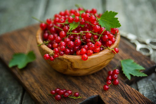 Red currant berries on a wooden background. Harvest, outdoors closeup.