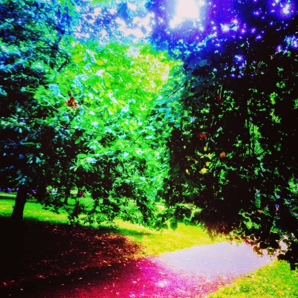 istock Hyde Park, Kensington, Knightsbridge, Central London, England 1163343426