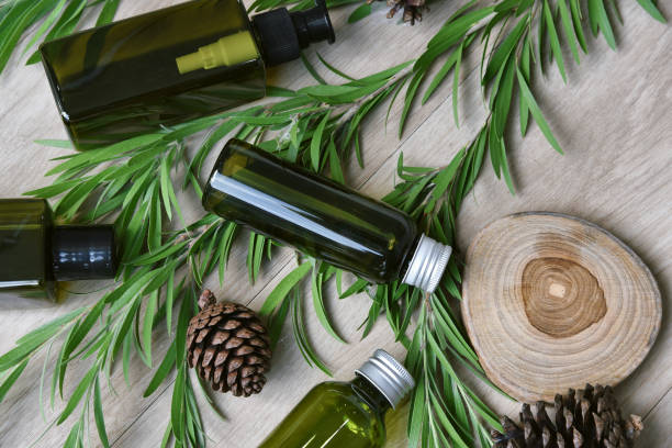 istock Cosmetic green bottle containers packaging with herbal leaves, Blank label for organic branding mock-up, Natural skincare beauty product concept. 1163347444