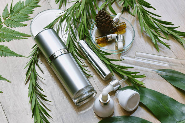 istock Cosmetic bottle containers packaging with green herbal leaves, Blank label for organic branding mock-up, Natural skincare beauty product concept. 1163347485