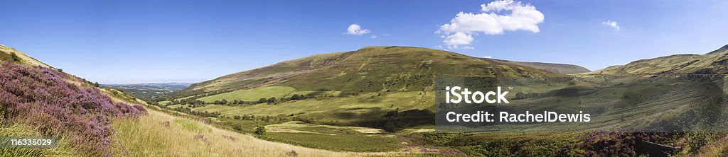 Welsh wilderness. Brecon Beacons in mid wales, the magnificence of this national park are highlighted by the sun on a summer day. Agricultural Field Stock Photo